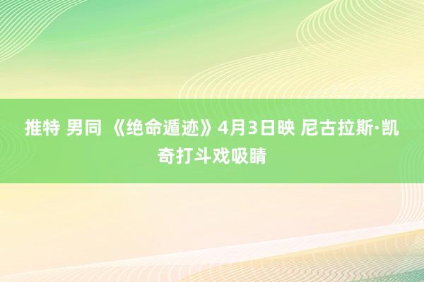 推特 男同 《绝命遁迹》4月3日映 尼古拉斯·凯奇打斗戏吸睛
