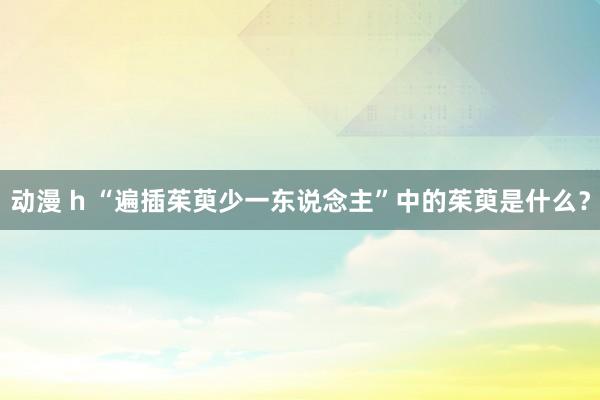 动漫 h “遍插茱萸少一东说念主”中的茱萸是什么？