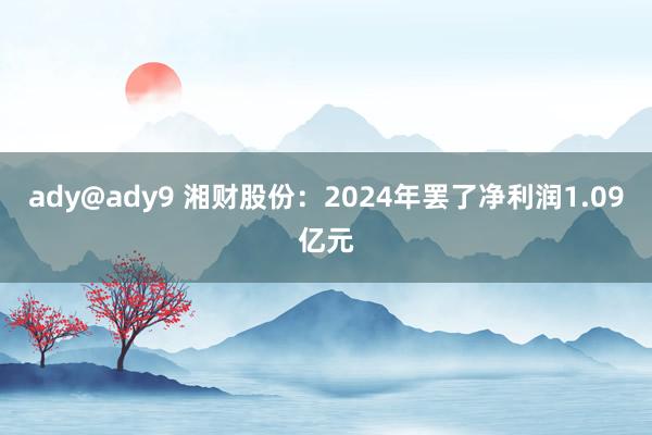 ady@ady9 湘财股份：2024年罢了净利润1.09亿元