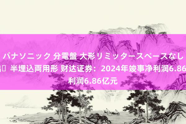パナソニック 分電盤 大形リミッタースペースなし 露出・半埋込両用形 财达证券：2024年竣事净利润6.86亿元