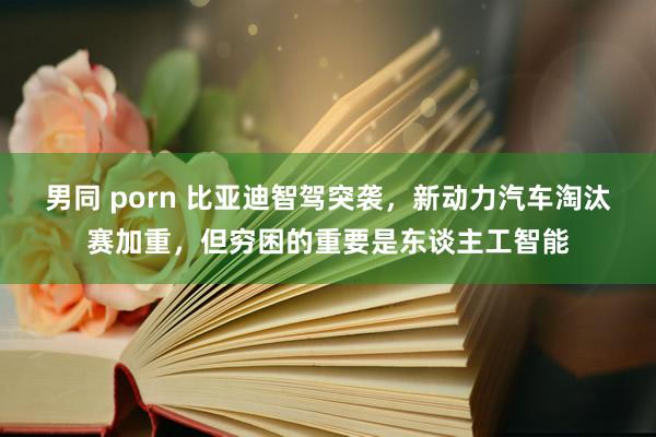 男同 porn 比亚迪智驾突袭，新动力汽车淘汰赛加重，但穷困的重要是东谈主工智能
