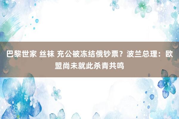 巴黎世家 丝袜 充公被冻结俄钞票？波兰总理：欧盟尚未就此杀青共鸣