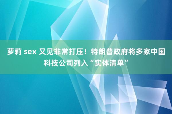 萝莉 sex 又见非常打压！特朗普政府将多家中国科技公司列入“实体清单”